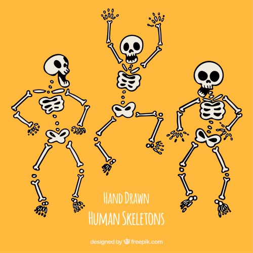 Huesos sanos y felices